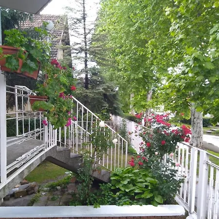 Sandrea Lejlighed Subotica