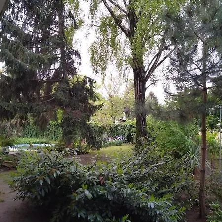 Sandrea 苏博蒂察