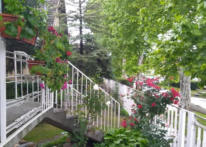 Sandrea Apartman Subotica